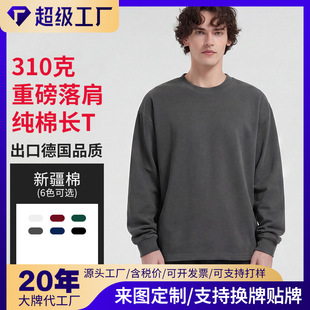 310�˼����ذ��L��t����猒�ɰ濹���ʹ����S�F؛��ӡ��֧���N��
