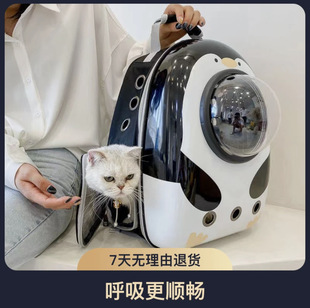 ؈�����ﱳ��؈���������y̫��œ�����؈��������͸���p���