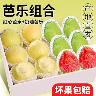 �V��ܛŴ�t�İ��İŘ��pƴ5�����rˮ����ʯ�����ܛŴ��֬�t�͘�