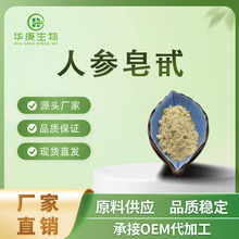 人参皂甙80% 人参皂苷粉rh2/rg3人参提取物  人参总皂甙100克/袋