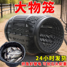 �����~�~�\�ۯB�~�Wֻ�M�����O�W�S�X���q�r�\���r�W�\�з���~�\