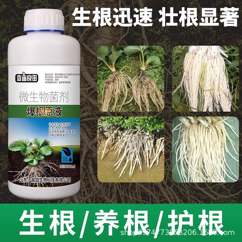 植物多菌霊百菌霊花白粉炭黄葉斑黒斑病専用除菌花病康スプレー|undefined