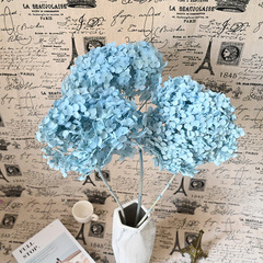 幻花永生花單支繡球15CM材料花材幹花夜市手工鮮花包裝裝飾花束