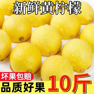 ����ˮ�����î������ʱ�Ƥ�����̲��֭��ˮե֭�r�����l