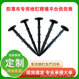 Yinong Black Agricultural Weed-Proof Cloth Ground Nails Anti-Aging Planting Weeding Ground Cloth Nails Fixed Mulch Film Cross-Border Gardening