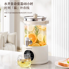 3.5L升大容量花茶壶牛奶加热恒温煮酒水婴儿调奶电热水壶一件代发