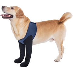 ペット用保護具、犬用レギンス、犬用前脚損傷補助ベルト、脚の舐め防止、噛みつき防止、リハビリテーションベルト、脚関節保護