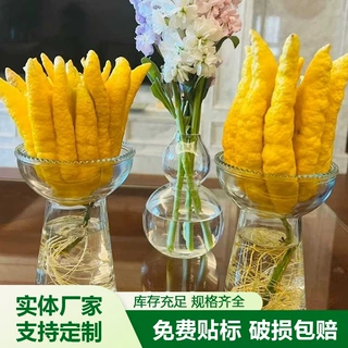 佛手柑花瓶水培器皿花盆观赏插花创意陶瓷玻璃水养摆件容器养花