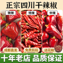 �Ĵ������������������콷���������ǽ����G�lС����������؛