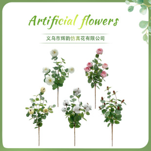 ������X�~�־���ș�� �羳�����ӼҔ[���zӰ���� �����ȼ����~