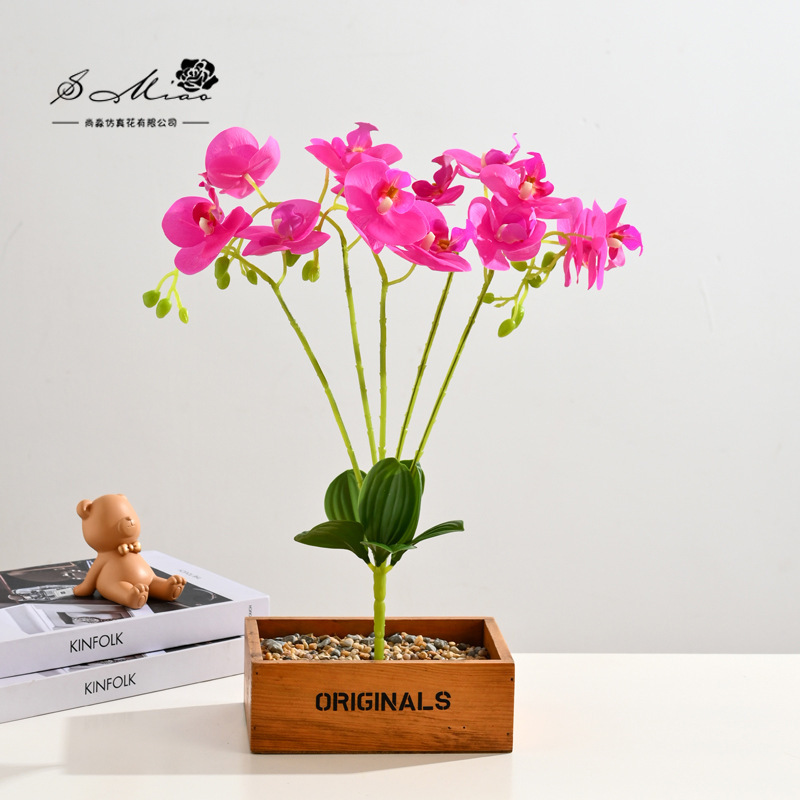Flor falsa 5 tenedor 15 sensación de orquídea mariposa bonsai fábrica de flores de decoración directa para el hogar adornos de imitación maceta image 18