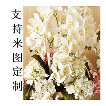 ding��Ո��ԃ�ͷ�--�ָб���ٻ��ߙn���滨����ֲ��ˮ��