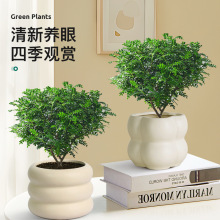 ����ľ�����҃���ò�ֲ������~���k���һ����辰С�Gֲ�����՚�