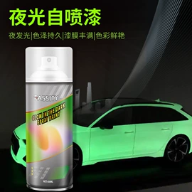 清洗/养护剂;鞋套、鞋刷;玻璃用剂