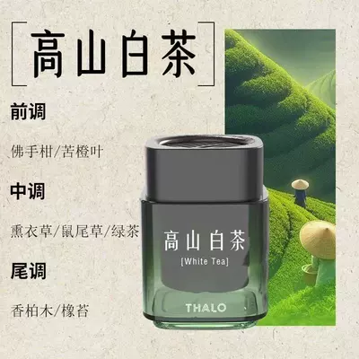 Car Aromatherapy Car Perfume Car Perfume Aromatherapy - alpine-white-tea