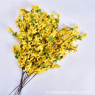 �����֧ӭ����11込ٻ������Ҿӿ͏d�[���̈������b� �羳����