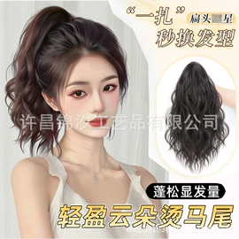 假发马尾;其他假发;假发片