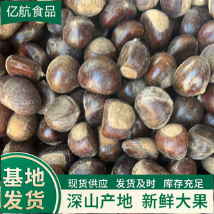 ���ڂ��������� ̩��ֱ�� ��40-60/30-40/40-50KG