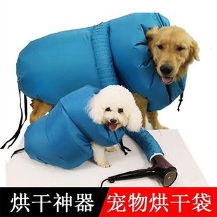 �����ɴ���ë؈������Ȯ����ϴ���ٸɴ��L�C��������l