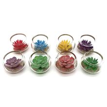 Dollhouse娃娃屋配件迷你玻璃缸多肉植物盆栽 微缩模型微景观摆件