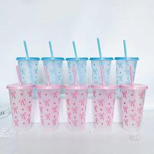 跨境热销夏日塑料吸管杯大容量随手杯便携奶茶杯果汁冷饮杯咖啡杯