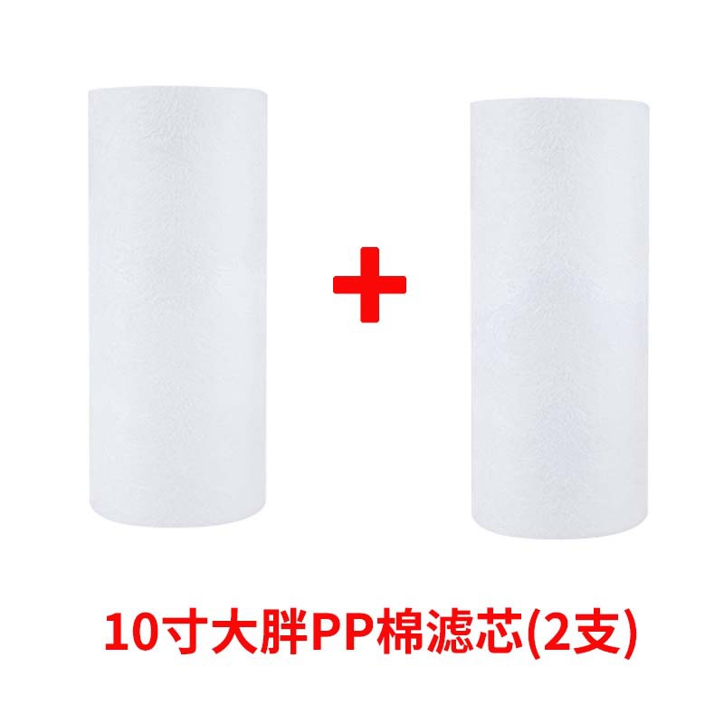 10 인치 대형 지방 pp면 필터 요소 (2)