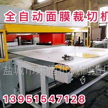 全自动绣花下料机 纸花球啤机 无纺布仿真花裁切机 折纸加 工设备