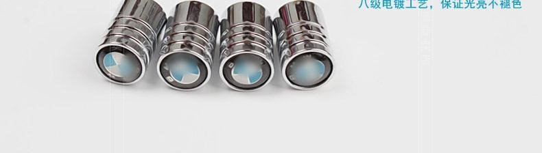 Suitable for Bmw 1 Series 3 Series 5 Series Gt7 Series X1X3X5X6 Car Tire Valve Cap Valve Cover Extended Version
