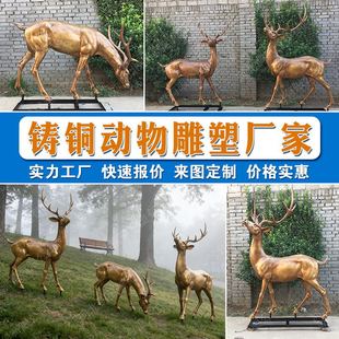 �T�~¹���ܶ����T�~������ܷ���¹�~����¹�~����ֱ�N�S�~¹�S��