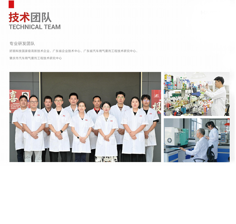 Haoshun Manufacturer Direct Sales Spray Paint Processing and Customization, Hand-Operated Self-Spraying Professional Spray Paint Cans, Car Repair Paint, Road Paint