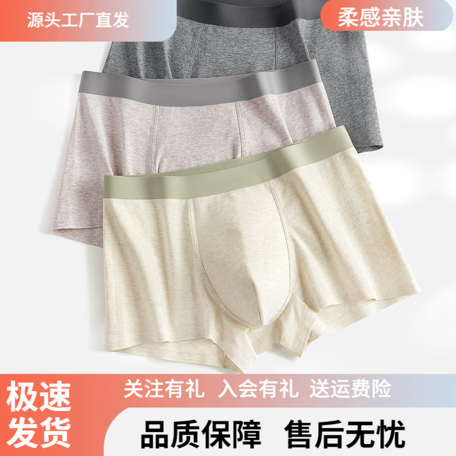 Briefs