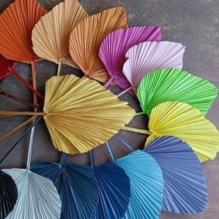 ��ɫ�������~�ɻ������廨ˇ�����ѿ��~�滨��Y�������ɻ����l