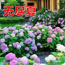 �o�M��ͥԺ�̨�������Ի��ܴ����ļ��_���ͺ��Gֲ�҃��Ϙ�����