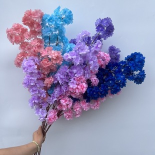 ����120�^����3��ѻ���c���·�����T�ٻ��Ƶ�Ҿ��bS�����l