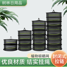 植物草药悬挂式晾晒网直径60cm可折叠圆形干燥晒干网封闭式晾晒篮