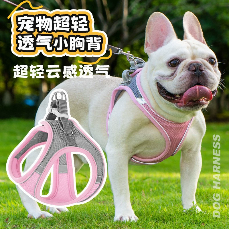 Набор для выгула собак: шлейка-жилет из нейлоновой сетки с светоотражающим поводком для маленьких и средних собак