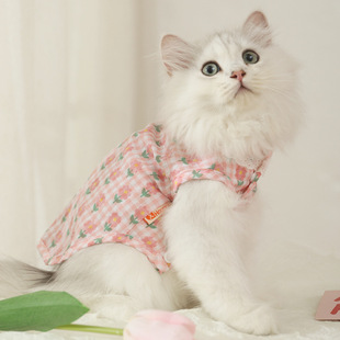 Summer Thin Anti-hair Summer Kitten Blue Cat Pet Cat Cute Kitten Summer Vest Cat Clothes