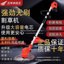 늄ӸݙC늶๦ܼróݙCoˢ늙C