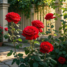 E 65186 ebay New Fashion Dropshipping Welcome OPP Bag