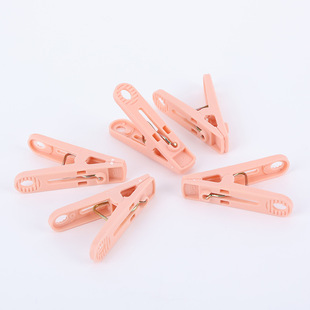 ���A�����AС�A���̨�����A���±��ןo�������¼ܷ��L�A