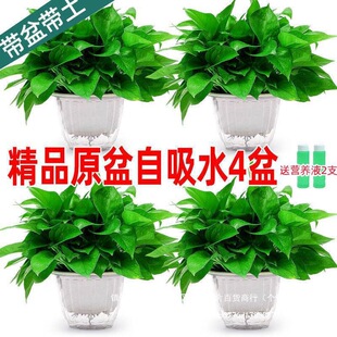 �G�jֲ��������l�G�}�����҃ȿ͏d�������Gֲˮ����B������~