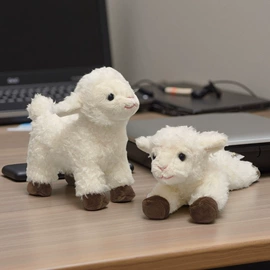 毛绒玩具;其他公仔;电动公仔