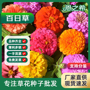 �ذ���ղݷN�ӻ����L�÷N�׻�Ұ���M�ϲ�˹�վG������·߅���N��