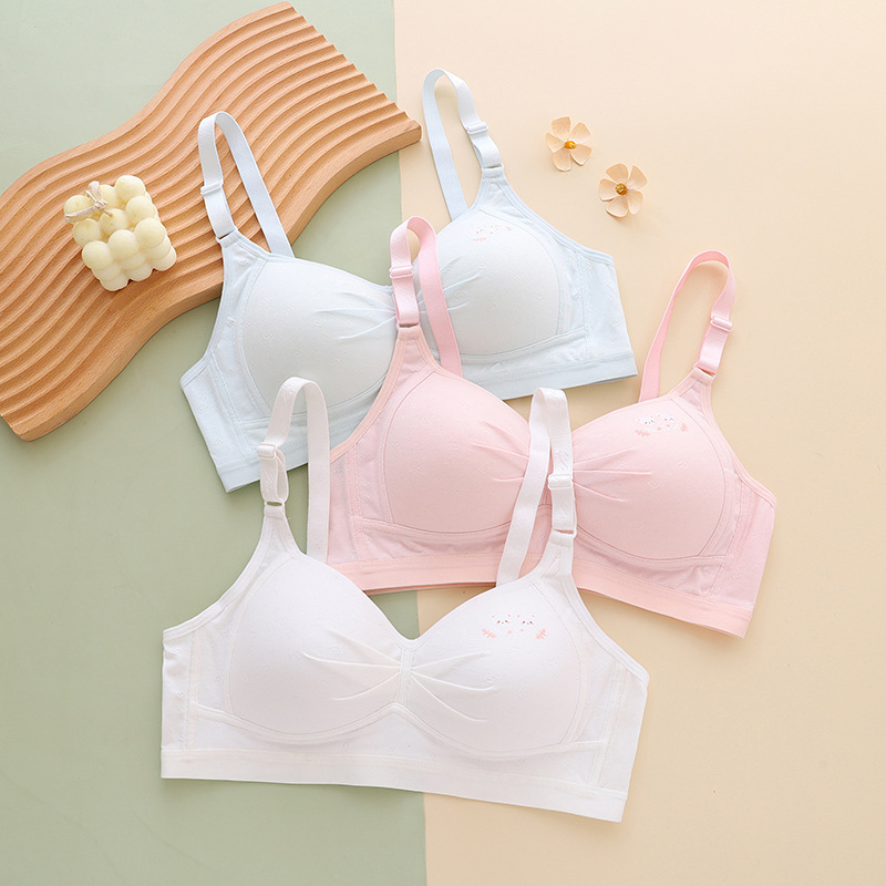 2025 Spring and Summer Thin Bra for Junior High School Students, Fashionable Printed Cute and Plaid Underwear for Adolescent Girls Wholesale