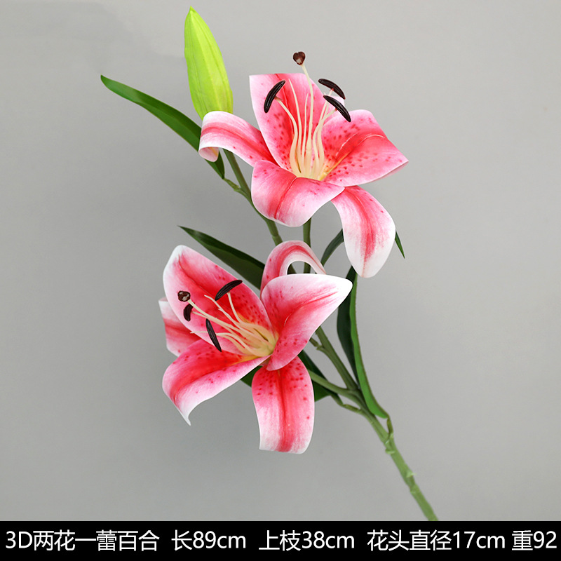 꽃 두 송이와 새싹 한 마리의 3D 백합