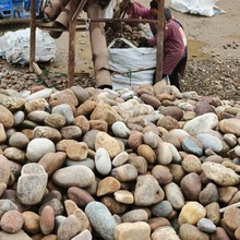 Sҹ׃Zʯ3-5ɽɞVͳ5-8Zʯ