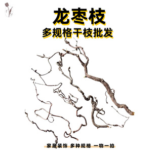 ����֦��Ȼֲ���ٗl��횗��U��[���滨�ɻ��Ƶ�Ҿ�ˇ�g�bS��