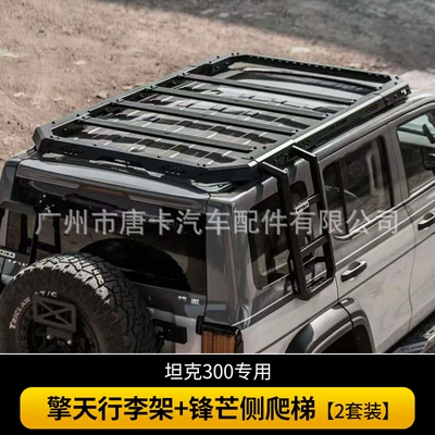 Ladder Modified Luggage Rack Frame – Roof rack - mk-qingtian-luggage-rack-sharp-side-ladder