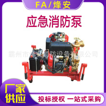 远洋船用应急消防泵65CWY-40船用柴油机消防泵厂家 CCS证书