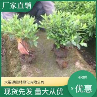 ë���N �\�����N �����Nֲ���������l�� �̓r���lҎ���Rȫ